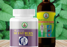 Ayur Brahma SF Advance Fat Burn Powder(100 gm) & & Stomach Kare Combo(450 ml)